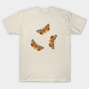 Virgin Tiger Moths T-Shirt